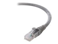 Belkin 10G - Cordon de raccordement - RJ-45 (M) pour RJ-45 (M) - 30 cm - CAT 6a - moulé, sans crochet, bloqué - gris - B2B F2CP003-01GY-LS