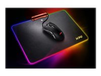 XPG INFAREX M10+INFAREX R10 - Souris - ergonomique - optique - filaire - USB INFAREX M10+INFAREX R10