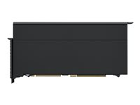 Apple Radeon Pro W6800X Duo MPX Module - Carte graphique - 2 GPUs - Radeon Pro W6800X Duo - 64 Go GDDR6 - Infinity Fabric Link - HDMI, USB-C - pour Mac Pro (Fin 2019) MJ093ZM/A