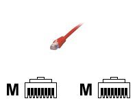 MCL - Câble réseau - RJ-45 (M) pour RJ-45 (M) - 3 m - non blindé - CAT 5e - rouge FCC5EM-3M/R