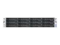 NETGEAR ReadyDATA 5200 - Serveur NAS - 12 Baies - 12 To - rack-montable - HDD 1 To x 12 - RAID 0, 1, 5, 6 - RAM 16 Go - 10 Gigabit Ethernet - iSCSI - 2U RD521210-100WWS