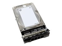 Dell - Disque dur - 4 To - échangeable à chaud - 3.5" - SAS 12Gb/s - NL - 7200 tours/min 400-ALNY