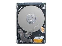 Dell Fully Assembled - Disque dur - 2 To - échangeable à chaud - 2.5" - SAS 12Gb/s - NL - 7200 tours/min - pour PowerEdge T330, T630; PowerVault MD1420; PowerEdge R330, R430, R730, R830, T440, T640 400-AMTT