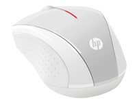 HP X3000 - Souris - optique - 3 boutons - sans fil - 2.4 GHz - récepteur sans fil USB - argent de brochet - pour OMEN by HP 15; HP 14, 15, 17, 24; Pavilion 15; Pavilion Gaming 15; Spectre x360; Stream 14 2HW68AA#ABB