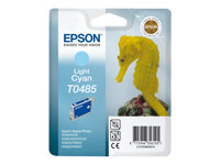 Epson T0485 - 13 ml - cyan clair - original - blister - cartouche d'encre - pour Stylus DX3800; Stylus Photo R200, R220, R300, R320, R340, RX500, RX600, RX620, RX640 C13T04854010