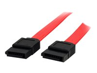 StarTech.com Câble Serial ATA 90 cm - Câble SATA - Serial ATA 150 - SATA (F) pour SATA (F) - 0.9 m - rouge - pour P/N: 10P6G-PCIE-SATA-CARD, 2P6G-PCIE-SATA-CARD, 4P6G-PCIE-SATA-CARD, 6P6G-PCIE-SATA-CARD SATA36