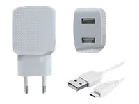 DLH DY-AU2550W - Adaptateur secteur - 12 Watt - 2.4 A - 2 connecteurs de sortie (USB) - sur le câble : Micro-USB - blanc DY-AU2550W