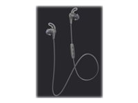 Jaybird X4 - Écouteurs avec micro - intra-auriculaire - Bluetooth - sans fil - Gris glacier, métallique tempête 985-000813