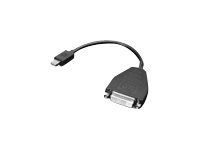 Lenovo - Adaptateur DisplayPort - liaison simple - Mini DisplayPort (M) pour DVI-D (F) - 20 cm - pour ThinkCentre M75t Gen 2; ThinkPad P51; ThinkStation P330 Gen 2; P34X; P350; P520; P620 0B47090