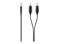 Belkin - Câble audio - RCA x 2 (M) pour mini jack stéréo (M) - 1 m - double blindage F3Y116BT1M