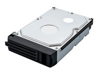 BUFFALO OP-HDWR Series OP-HD3.0WR - Disque dur - 3 To - échangeable à chaud - 3.5" - SATA 3Gb/s OP-HD3.0WR