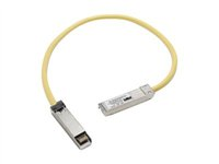 Cisco - Cordon de raccordement - SFP (M) pour SFP (M) - 50 cm - pour Catalyst 3560, 3560E, 3560G, 3560V2, 3560X CAB-SFP-50CM=