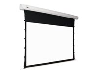 Oray Orion Tensioned - Écran de projection - montable au plafond, montable sur mur - motorisé - 87" (220 cm) - 16:9 - blanc mat - blanc OR3B5108192