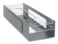 HPE - Plateau de gestion de câbles pour rack - supérieur - 19" - pour HPE 800mm; ProLiant ML110 G3; Rack 383983-B21