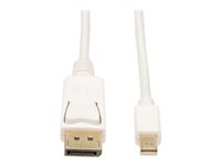 Tripp Lite 10ft Mini DisplayPort to DisplayPort Adapter Converter Cable mDP to DP 4K x 2K @ 30Hz M/M 10' - Câble DisplayPort - Mini DisplayPort (M) pour DisplayPort (M) - 3.05 m - blanc P583-010