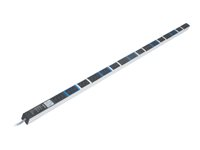 Knürr DI-STRIP Basic Rack PDU - Unité de distribution secteur (rack-montable) - CA 230 V - connecteurs de sortie : 17 - 0U 033000671